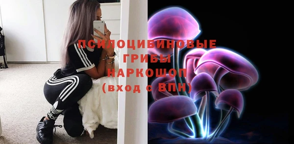 крисы Кулебаки