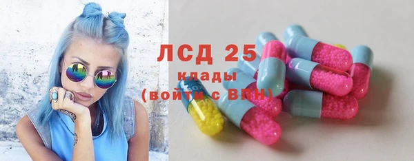 крисы Кулебаки