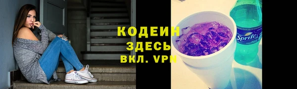 крисы Кулебаки