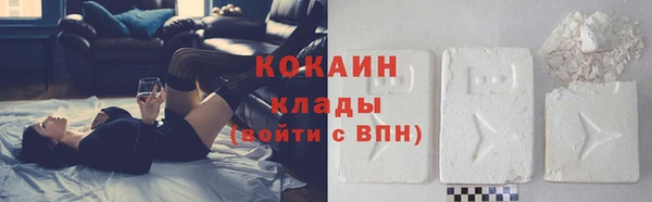 крисы Кулебаки