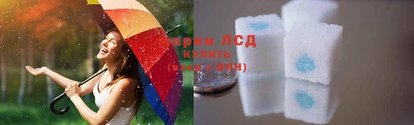 хмурый Кукмор