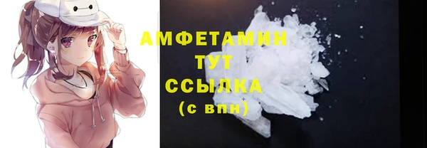 крисы Кулебаки