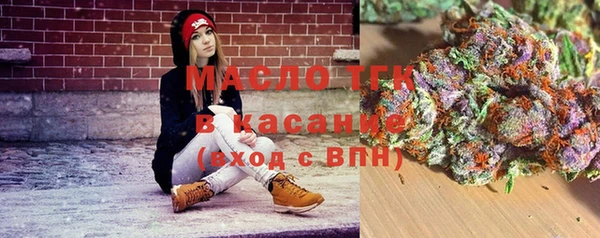 крисы Кулебаки