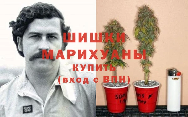 дживик Краснослободск