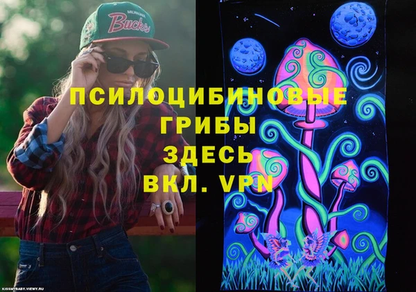 крисы Кулебаки