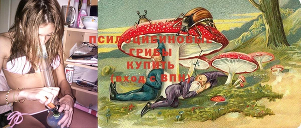 крисы Кулебаки