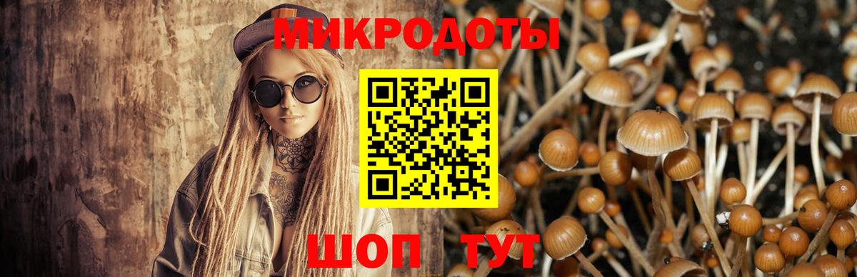 Галлюциногенные грибы Magic Shrooms  Вход с VPN  Рассказово 