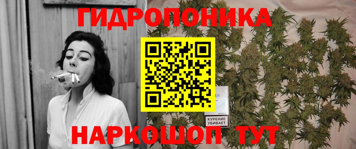 Бошки Шишки гибрид Рассказово